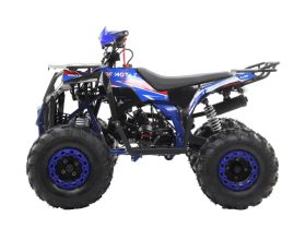 Квадроцикл MOTAX Grizlik A125