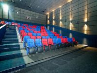 Кинотеатр Pioneer Cinema