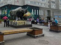 Центральная библиотека г. Губахи