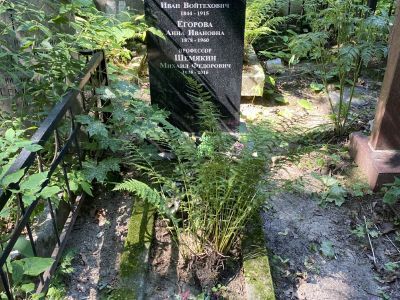 Могила Гржимали Ивана Войцеховича (1844-1915)