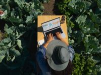 Apple MacBook Pro 16 2026 M5 Pro 24Gb/1Tb (Silver) (MGE44)