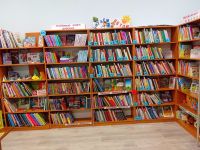 Удачинская сельская библиотека