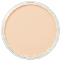 Пастель ультрамягкая "PanPastel", оранжевый светлый