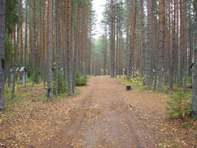 Место захоронения жертв политических репрессий