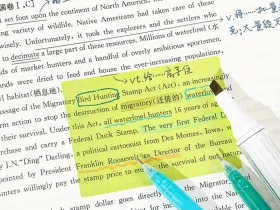 Блок стикеров для заметок Languo, 7х5 см, 105 листов, ассорти