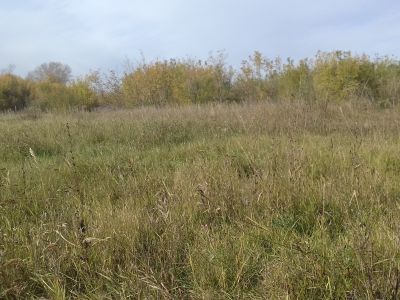 Братская могила борцам, погибшим за власть Советов