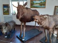 Яйвинский краеведческий музей