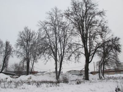 Усадьба Чашниково