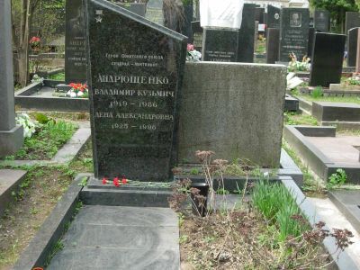 Могила - Андрющенко Владимир Кузьмич (1919-1986), Герой Советского Союза