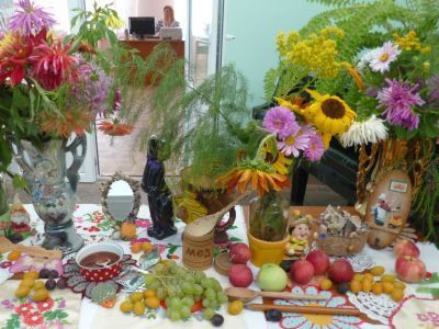 Церлевская сельская библиотека