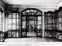 Зоологический музей Томского государственного университета