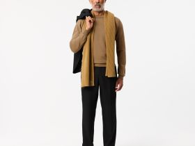 Мужской свитер Lacoste из шерсти мериноса