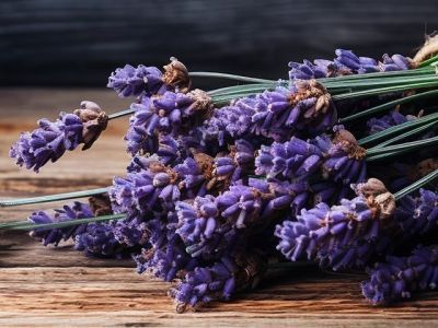 В России сертифицирована первая органическая лаванда