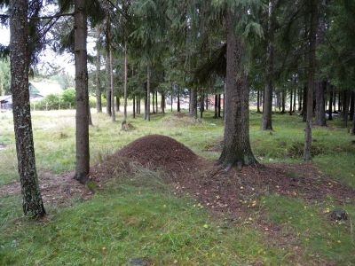 Памятное место, где в 1903-1905 гг. происходило крупное выступление  крестьян за возвращение отрезков