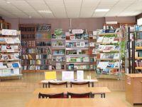 Районная детская библиотека г. Сунжи