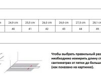 Кроссовки мужские Terra V2 Waterproof