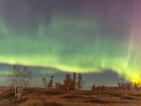 Охота за Северным Сиянием рядом с Якутском