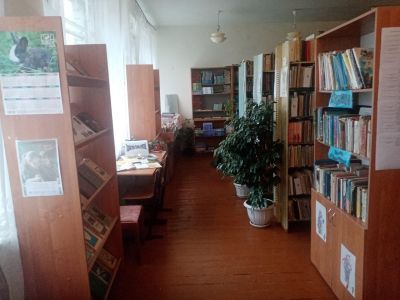 Кузоватовская библиотека
