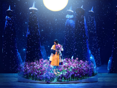 Билеты на Рождественская сказка (Мариинский-2) / Театр | Афиша | ИнфоТаймс