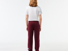 Мужские спортивные брюки Lacoste