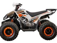 Квадроцикл YACOTA SportY XX