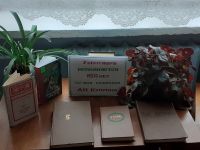 Малоозерская сельская библиотека-филиал