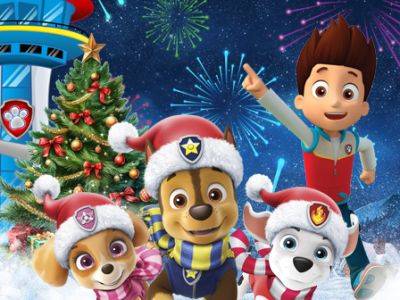 Щенки спасают Новый Год (Батайск)