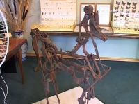 Пущинский музей экологии и краеведения