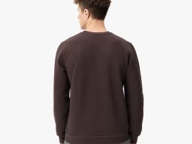 Мужской свитшот Lacoste стандартного кроя