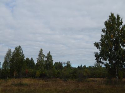 Памятное место, где размещался артиллерийский дивизион, принимавший участие в разгроме контрреволюционных казаков, пытавшихся помешать установлению Советской власти в Смоленске, октябрь 1917 года