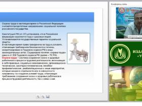 Международный вебинар "Управление профессиональными рисками"