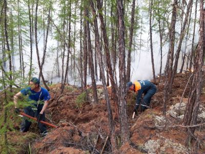 За сутки в Якутии ликвидировали 39 пожаров