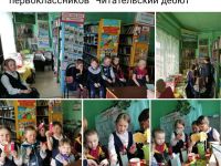 Библиотека села Мильгидун