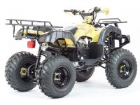 Квадроцикл STALKER 250