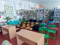 Нижне-Саловская сельская библиотека