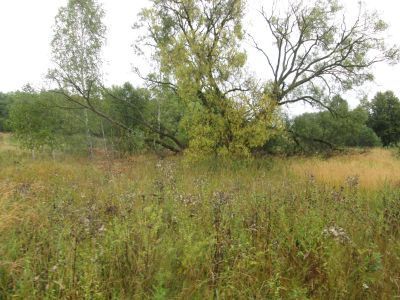 Родина Героя Советского Союза  Г.П. Силкина, погибшего в октябре 1943 г.