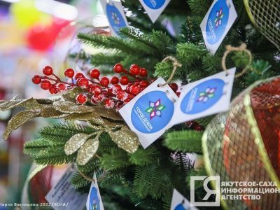 В Якутии подвели итоги благотворительной акции «Елка добра»