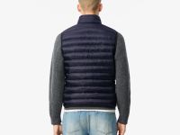 Мужской стёганный жилет Lacoste с высоким воротом