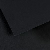 Бумага для пастели Canson "MI-TEINTES" 21x29,7 см 160 г №425 черный
