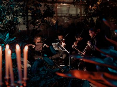 Магия свечей. От Вивальди до Jingle Bells в оранжерее (Оранжерея Таврического сада)