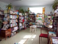 Лузинская сельская библиотека – филиал № 9