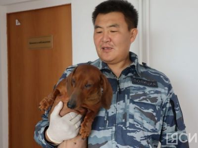 Алексей Колмогоров: «Важна эмоциональная связь между кинологом и собакой»