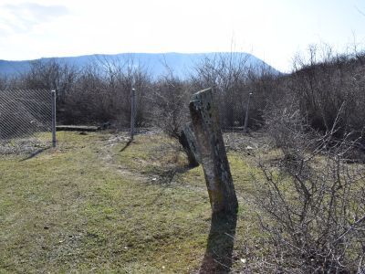 Стелы надмогильные (2 единицы)