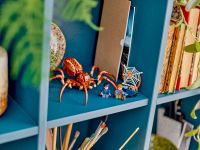 Harry Potter 76434 Конструктор Арагог в Запретном лесу