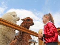 Парк развлечений «Сказка»