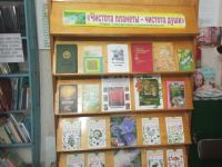 Владыченская библиотека