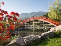 Японский сад «Шесть чувств»