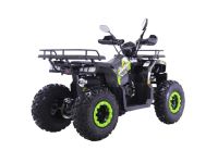 Квадроцикл YACOTA Warrior 200