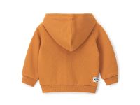 Толстовка на молнии для маленького мальчика