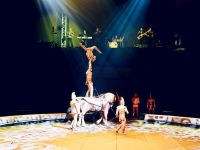 Концертно-спортивный комплекс «Арена»